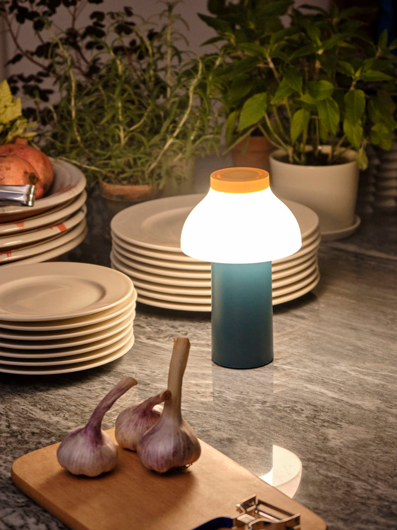 Portable Lamps