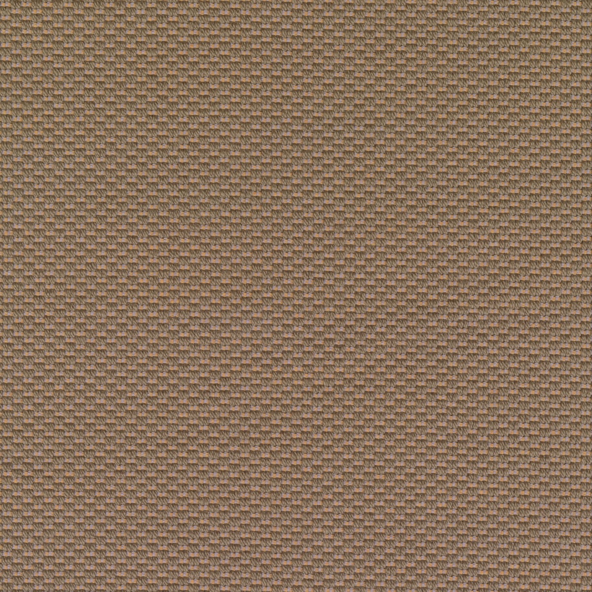 Serpentine — manufacturer swatch in colour 0238