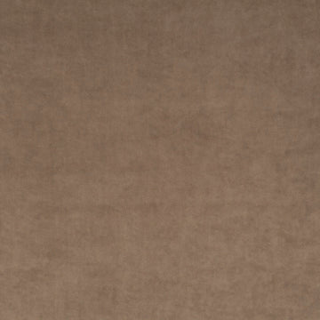 Champion fabric — colour 020, manufacturer swatch