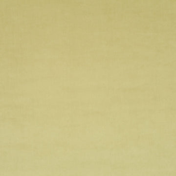 Champion fabric — colour 030, manufacturer swatch