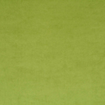 Champion fabric — colour 031, manufacturer swatch