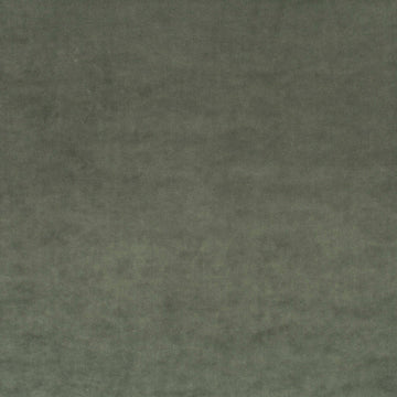Champion fabric — colour 034, manufacturer swatch