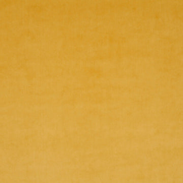 Champion fabric — colour 040, manufacturer swatch