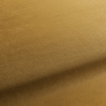 Champion fabric — colour 041, manufacturer swatch