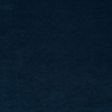 Champion fabric — colour 055, manufacturer swatch
