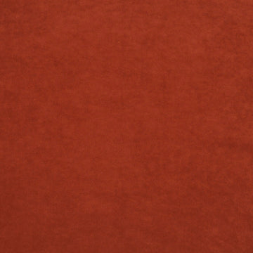 Champion fabric — colour 060, manufacturer swatch
