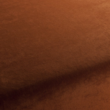 Champion fabric — colour 061, manufacturer swatch