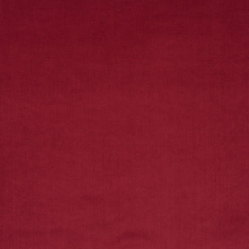 Champion fabric — colour 064, manufacturer swatch