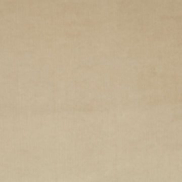 Champion fabric — colour 074, manufacturer swatch