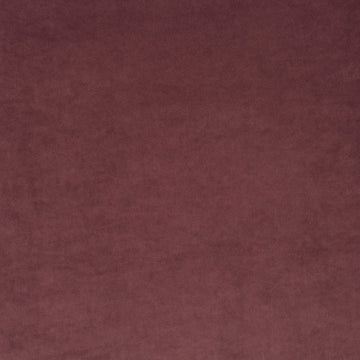 Champion fabric — colour 080, manufacturer swatch