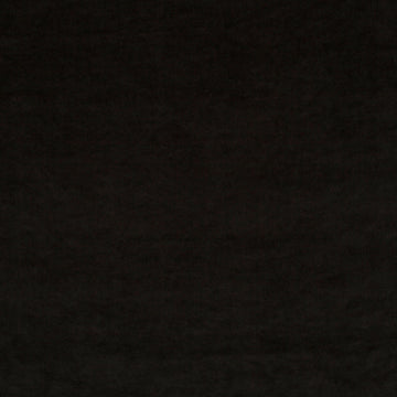 Champion fabric — colour 099, manufacturer swatch