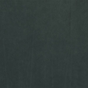 Dunes fabric — colour 21005, manufacturer swatch