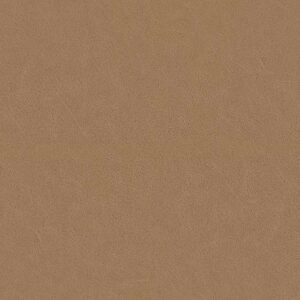 Dunes fabric — colour 21008, manufacturer swatch