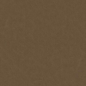 Dunes fabric — colour 21009, manufacturer swatch