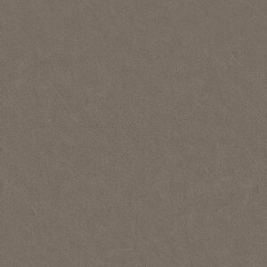 Dunes fabric — colour 21010, manufacturer swatch