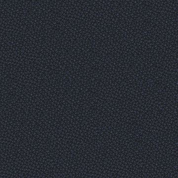 Sierra leather fabric — colour SI1058, manufacturer swatch