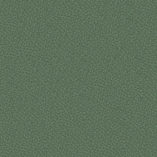 Sierra leather — manufacturer swatch in colour SI1259