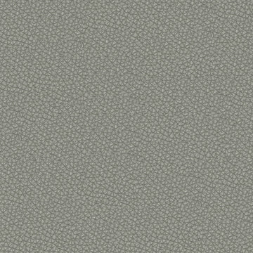 Sierra leather fabric — colour SI1275, manufacturer swatch