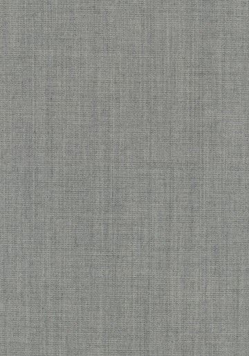 Canvas 2 fabric — colour 0124, manufacturer swatch