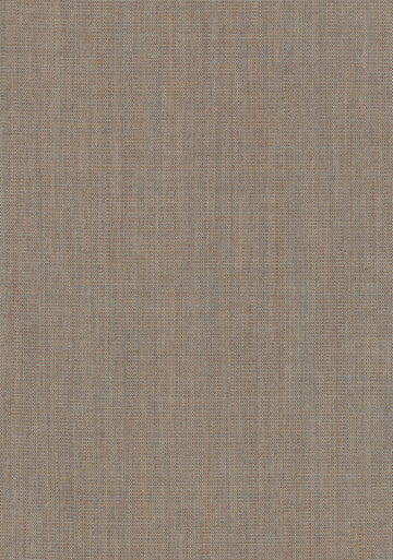 Canvas 2 fabric — colour 0244, manufacturer swatch