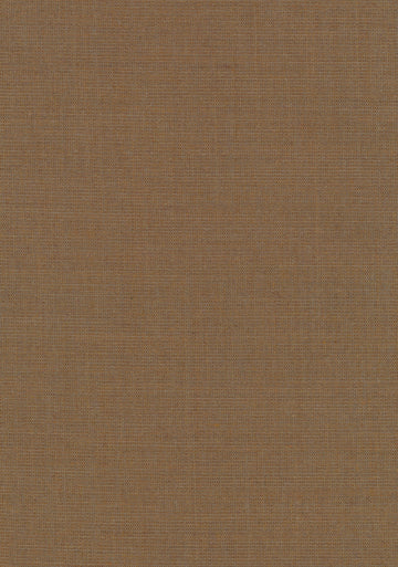Canvas 2 fabric — colour 0254, manufacturer swatch