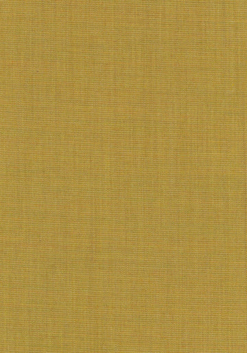 Canvas 2 fabric — colour 0446, manufacturer swatch