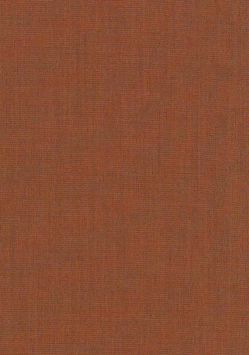 Canvas 2 fabric — colour 0454, manufacturer swatch