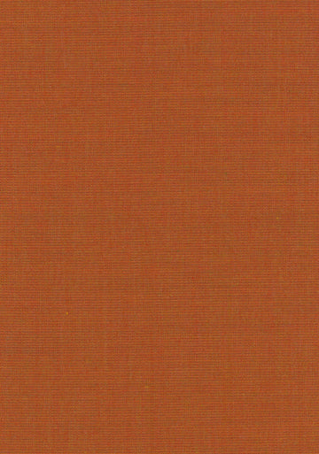 Canvas 2 fabric — colour 0556, manufacturer swatch