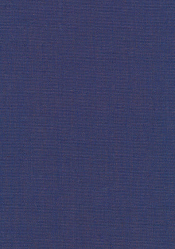 Canvas 2 fabric — colour 0666, manufacturer swatch