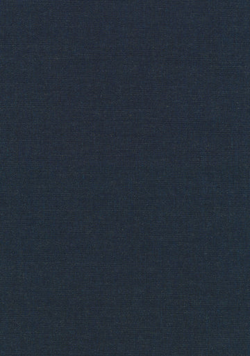 Canvas 2 fabric — colour 0794, manufacturer swatch