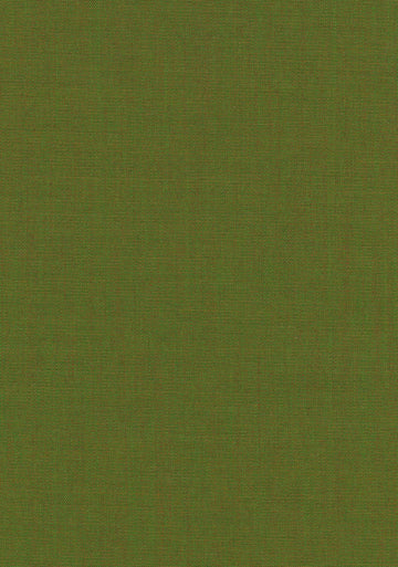 Canvas 2 fabric — colour 0954, manufacturer swatch