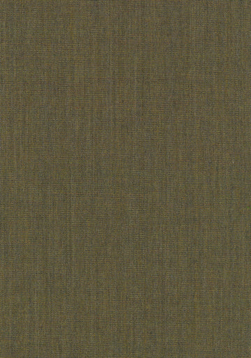 Canvas 2 fabric — colour 0964, manufacturer swatch