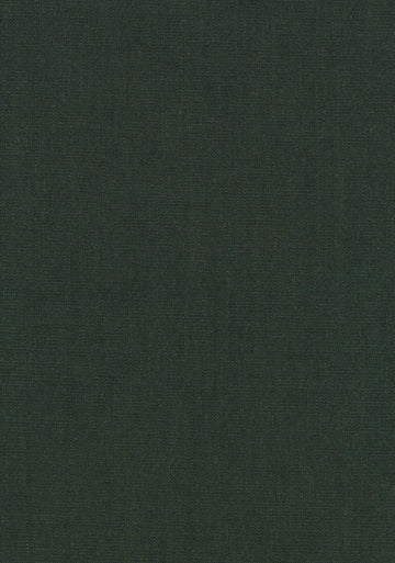 Canvas 2 fabric — colour 0996, manufacturer swatch