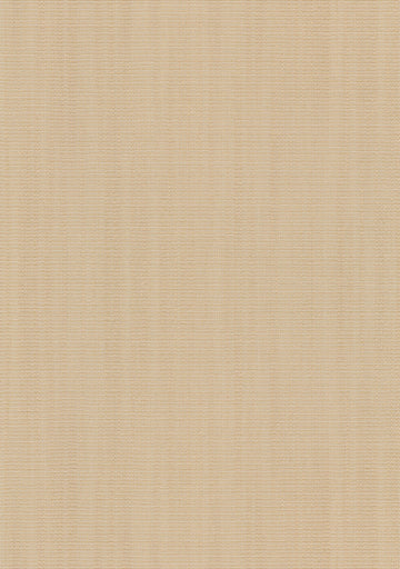 Raas fabric — colour 0412, manufacturer swatch