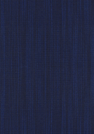 Raas fabric — colour 0772, manufacturer swatch