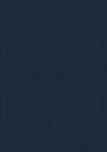 Raas fabric — colour 0782, manufacturer swatch