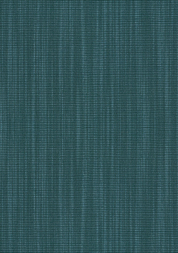 Raas fabric — colour 0862, manufacturer swatch