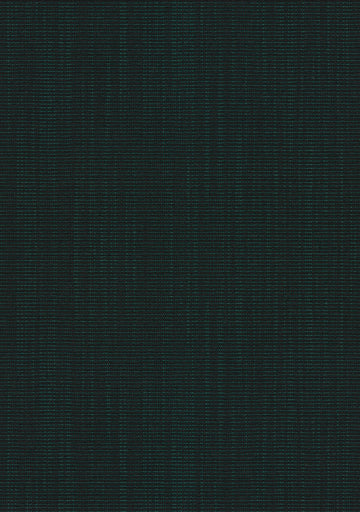 Raas fabric — colour 0982, manufacturer swatch
