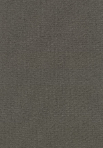 Tonus 4 fabric — colour 0613, manufacturer swatch