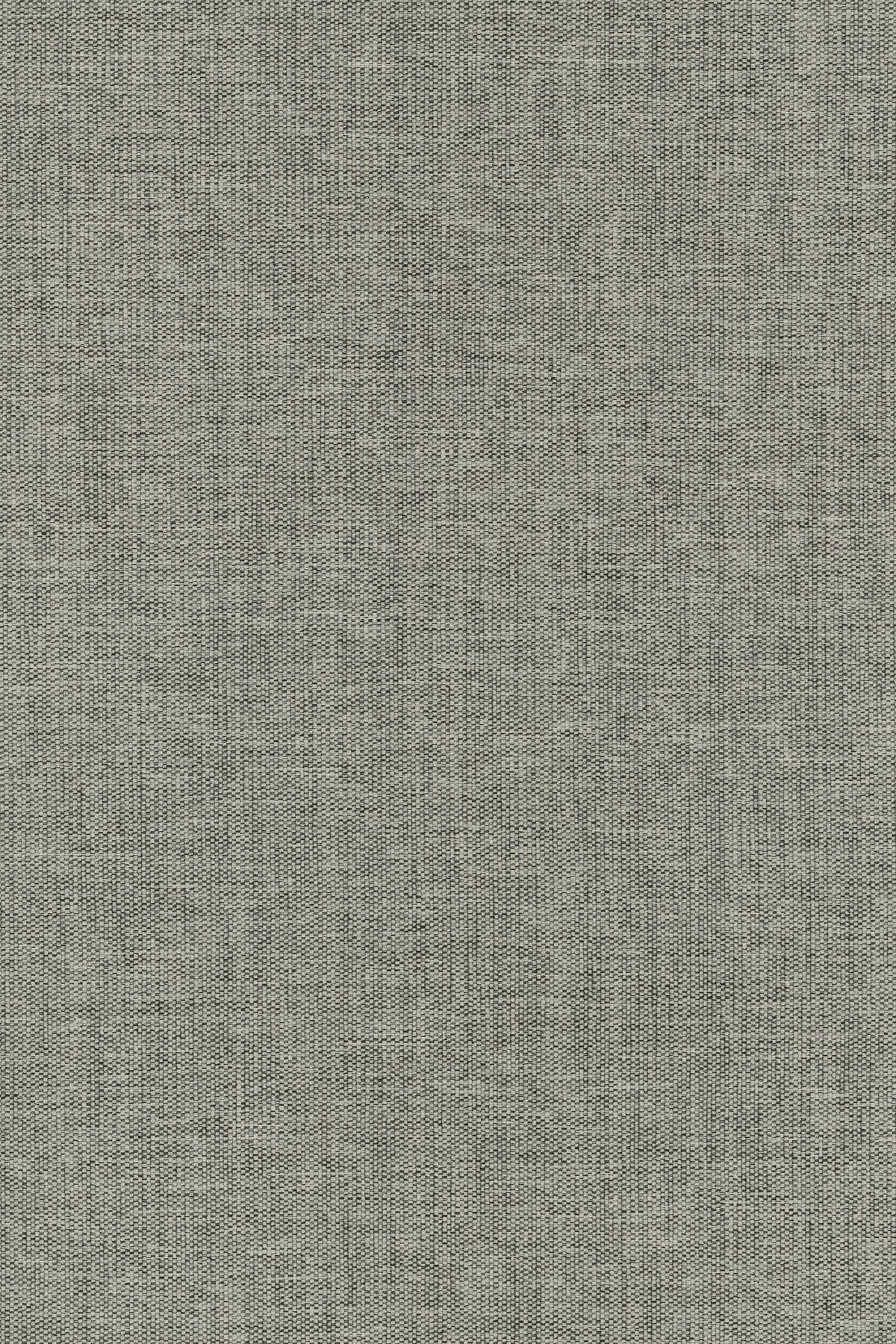 Guest — manufacturer swatch in colour 0110