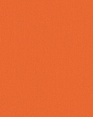 Delta fabric — colour 021, manufacturer swatch
